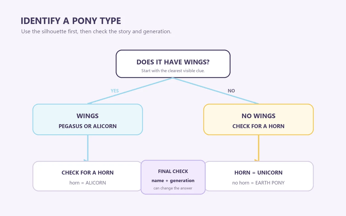 Editorial flowchart showing how wings and a horn help identify Earth Pony, Pegasus, Unicorn, or Alicorn